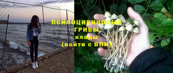 мяу мяу кристалл Покачи