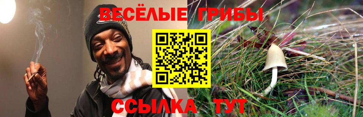 Рузаевка  Галлюциногенные грибы GOLDEN TEACHER  Галлюциногенные грибы мицелий  продажа наркотиков  Вход с VPN 